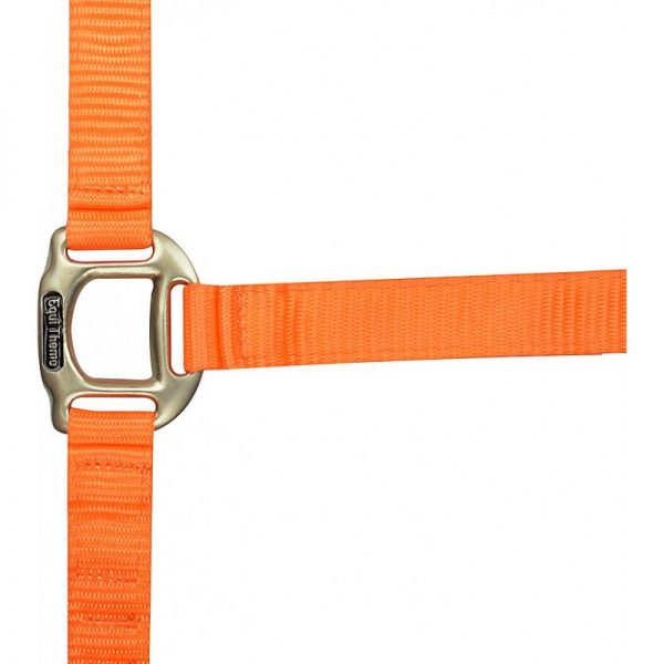 equitheme-eclat-headcollar (1)