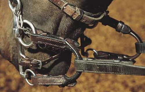 0d06b2a42432b59785b2c2a47f79b79a