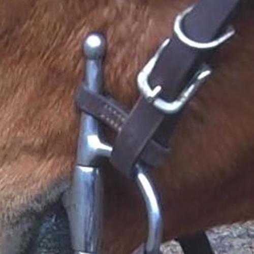 794be328-b214-426f-80a7-43cb8a72e738__61507.1561999481