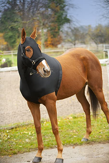 81MBN6FtjNL._AC_SY679_