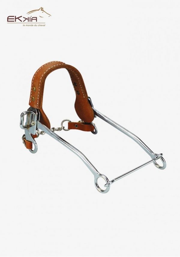 8491-tm_large_default