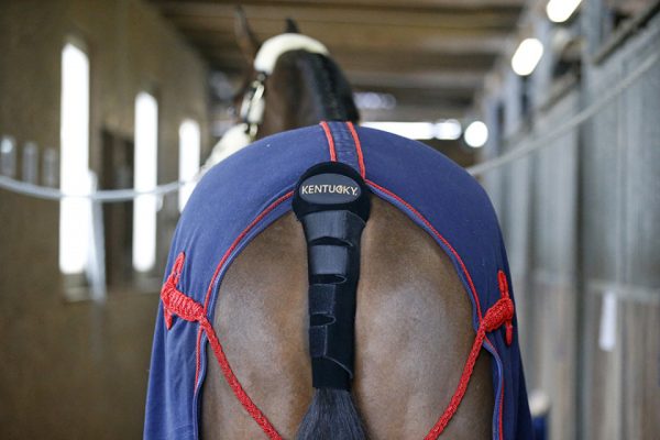 s296853650893547581_p2081_i3_w640