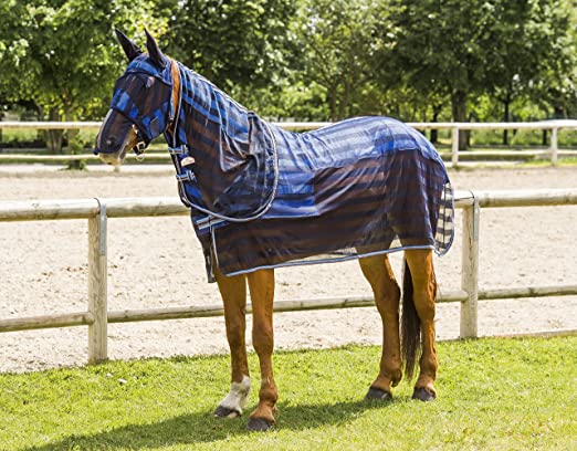 A1IYiGf4RvL._AC_SX522_