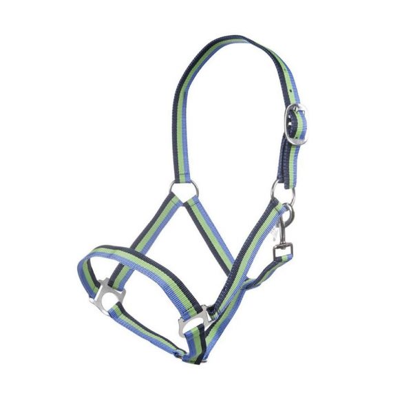 51ptVK+NI3L._SL1024_