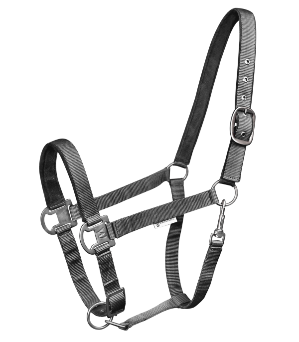 5048310-PON_62