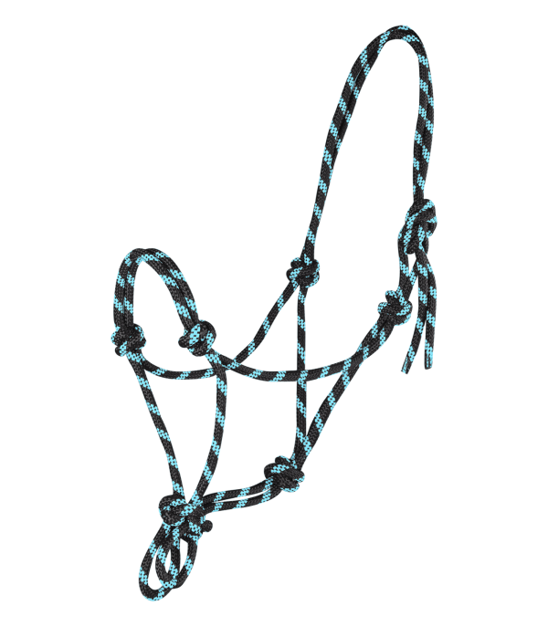 50411001-PON_53
