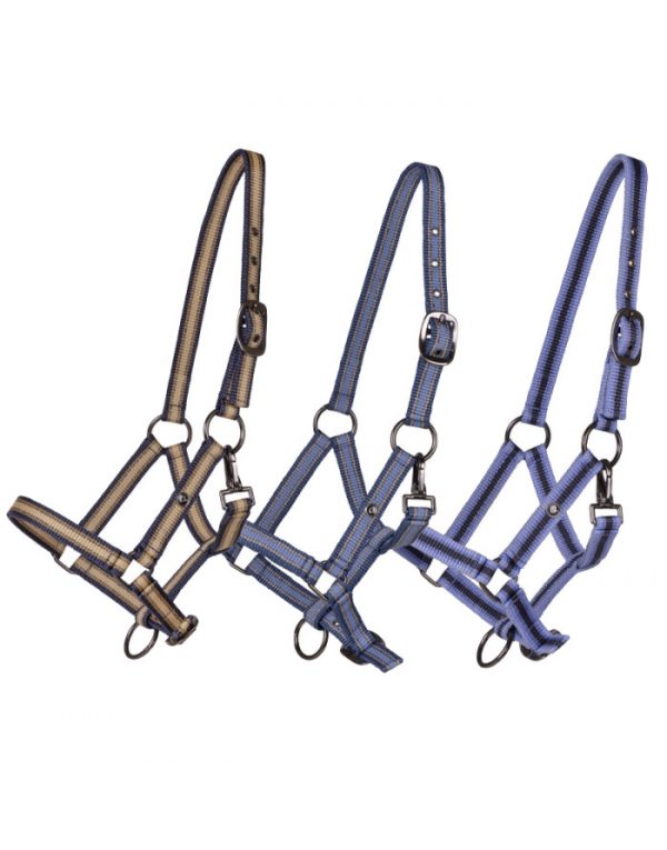 licol-yearling-collection-qhp