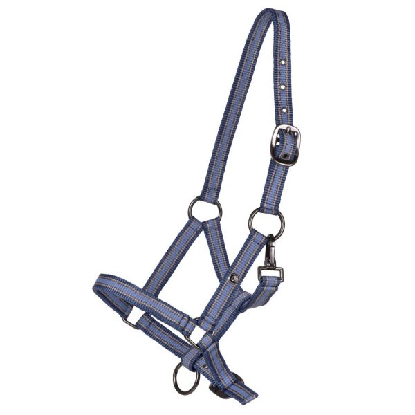 qhp_1190-shl_seashell_1