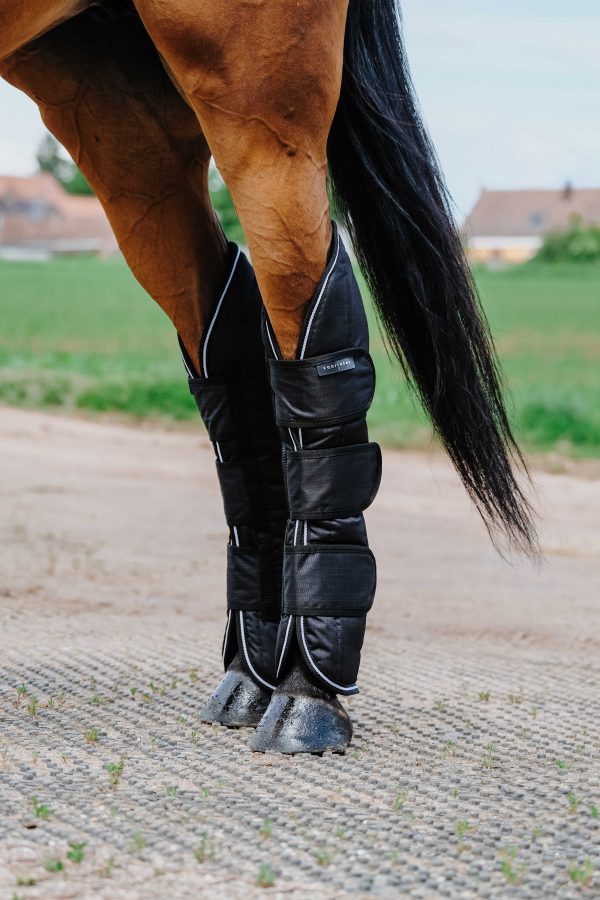 400560203_ambi_1_web