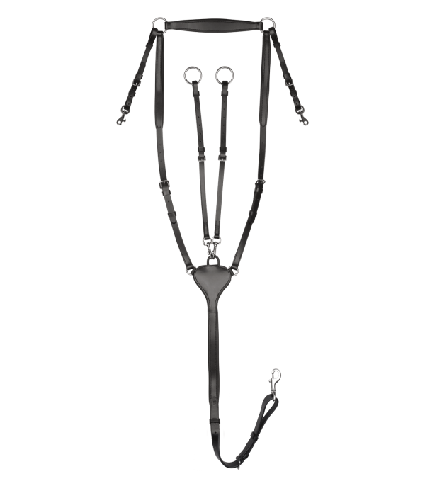 9579501-VB_5