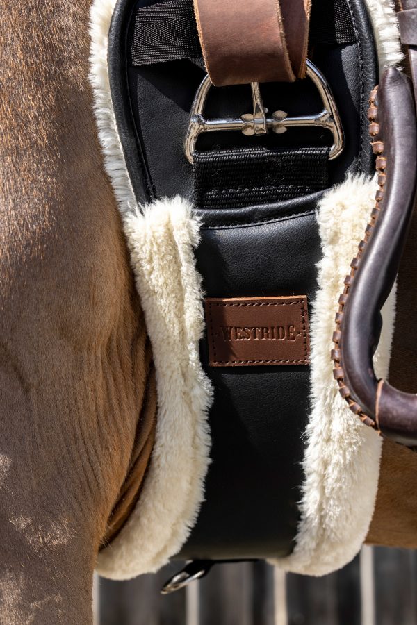 801035270_ambi_1_web