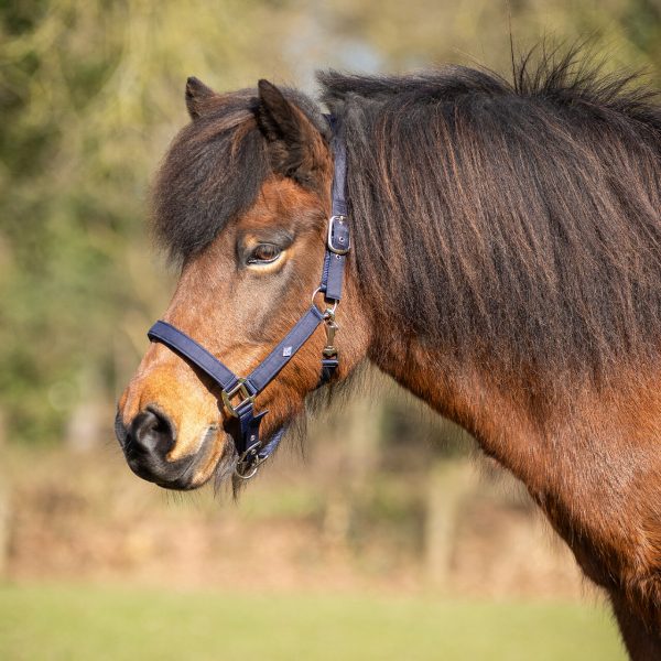 1231na-4_1